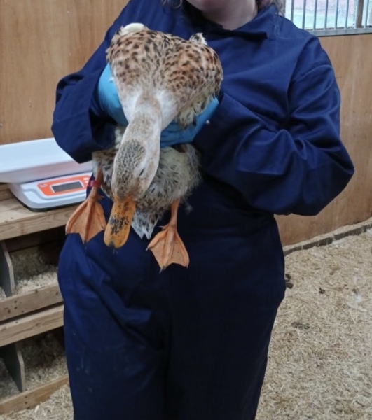 End of Year 13: Results, Summer and plans for September and onwards