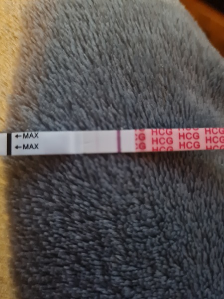 11dpo