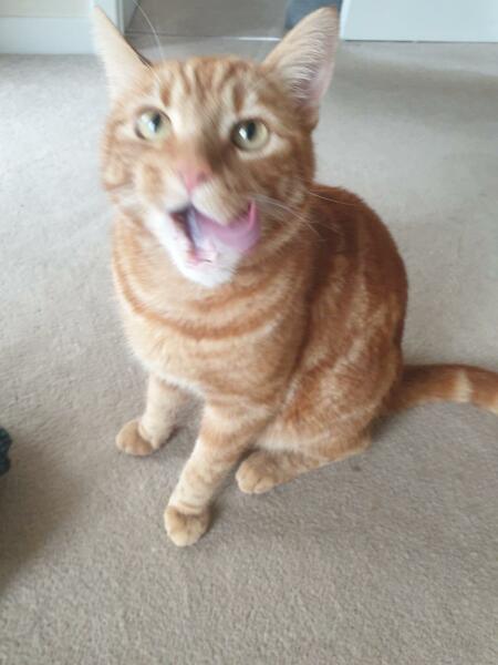 Thread 10 Starmer: First Female Chancellor delivers the Budget