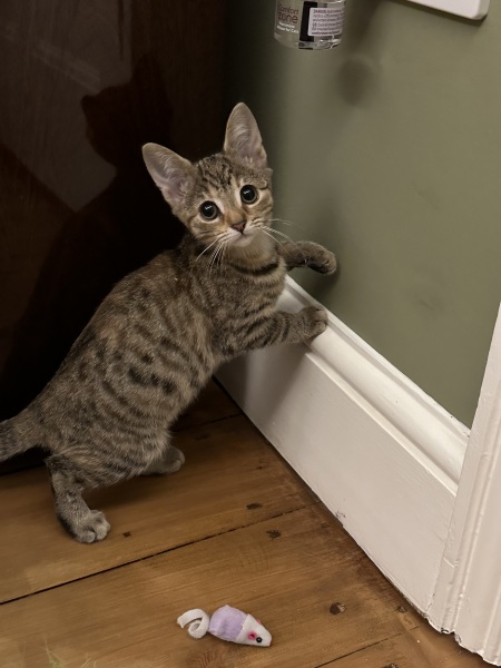 Name ideas