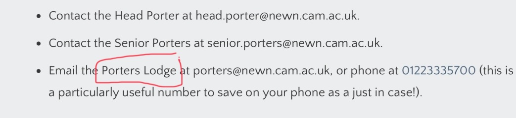 Bluestockings & Orange Wellies: Welcome to the Degu Station!