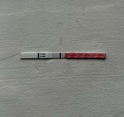 Is this the start of a positive test?