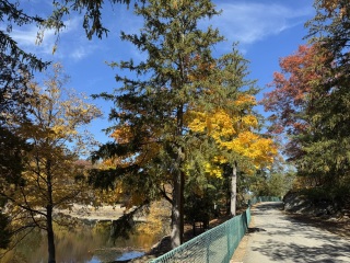 Come and tell me your dull and unexciting news 31: Calmly through the day