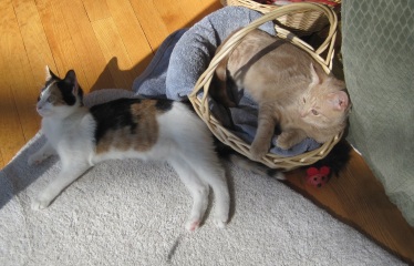 Come and tell me your dull and unexciting news 31: Calmly through the day