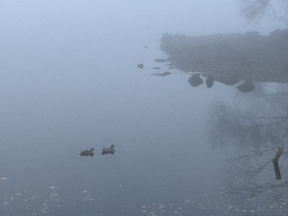 Come and tell me your dull and unexciting news 31: Calmly through the day