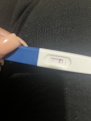 Asda Pregnancy Tests