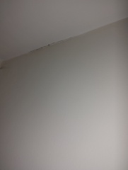 Which trade(s) do I need - plasterer or decorator?