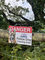 Mounjaro August Starters 6