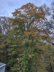 Come and tell me your dull and unexciting news 31: Calmly through the day