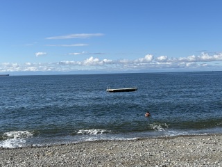 Come and tell me your dull and unexciting news 31: Calmly through the day