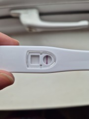 Pregnancy test opinions