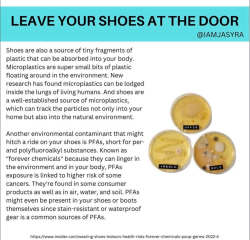 I thought it would be easier to find a nursery with a no outdoor shoes policy !!