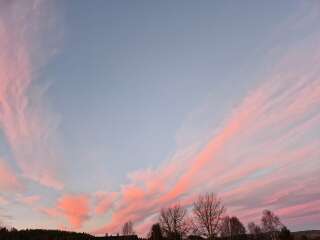 The Nigel Slater Christmas Chronicles Readalong 2024