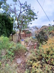 What have you done in the garden today? Part 6