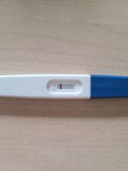 1 positive and 2 pregnancy tests