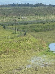 Why would you move to the middle of farmland if you are scared of farm animals?