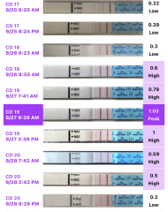 TTC FIRST BABY - New cycle, let's go girls !