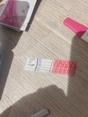 6dpo