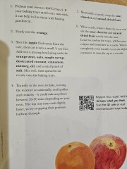 Poncetastic Christmas 2024