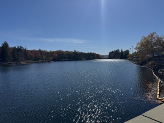 Come and tell me your dull and unexciting news 31: Calmly through the day