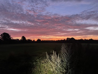 Season of mist and mellow fruitfulness...and ramping up those Christmas preparations! Countdown to Christmas 2024 (thread 3) (title edited by MNHQ @request of OP)