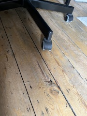 Flooring Level Dilemma Victorian Hallway