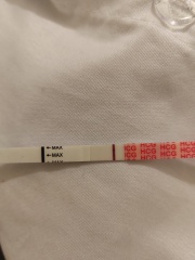 I think I have finally gone mad! Please help!