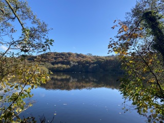 Come and tell me your dull and unexciting news 31: Calmly through the day