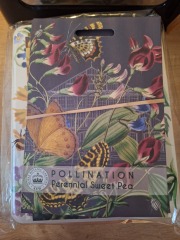 The Autumnal Christmas Chronicles Preamble - Thread 2 further ramblings