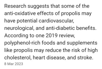 The Autumnal Christmas Chronicles Preamble - Thread 2 further ramblings