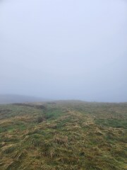 Mounjaro August starters #7