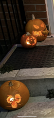 Show us your pumpkins!