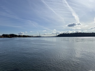 Come and tell me your dull and unexciting news 31: Calmly through the day