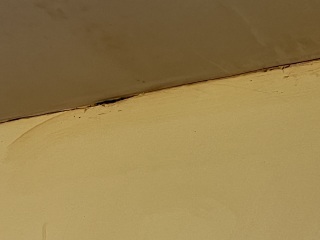 Any plasterers around for an opinion please?