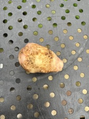 Holes in potatoes