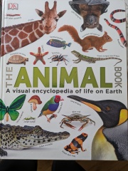 Non-fiction book ideas for 5 year old