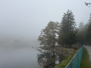 Come and tell me your dull and unexciting news 31: Calmly through the day