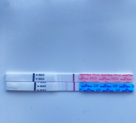 Two week wait ladies, you there?