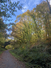 Come and tell me your dull and unexciting news 31: Calmly through the day