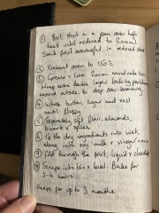 Poncetastic Christmas 2024