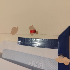 Drilling holes in an internal concrete wall for wall plugs and shelves
