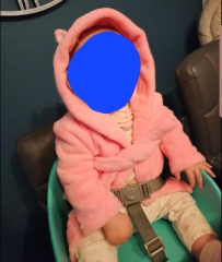 Is the Fred and Flo booster seat safe for BLW?