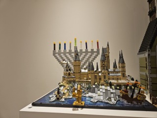 To show me your Lego collection?