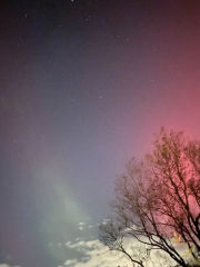 Northern lights currently visible!