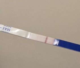 TTC #1 no previous pregnancies cycle #6 - looking for others in the same boat!