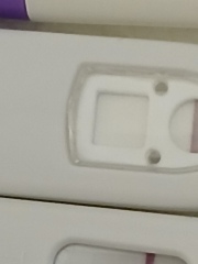 Am I Pregnant or Not