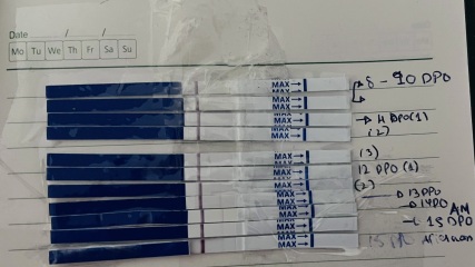 Seems like chemical pregnancy