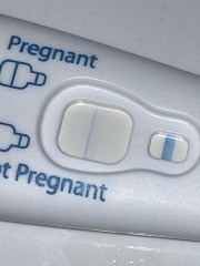 Positive or Evap Line