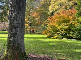 The Autumnal Christmas Chronicles Preamble - Thread 2 further ramblings