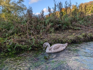 The Nigel Slater Christmas Chronicles Readalong 2024